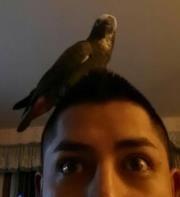 Photo of Moises P.