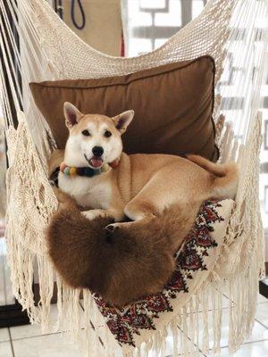 photo of Victoria H.