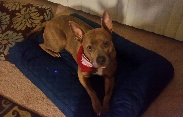 photo of Kristina J.