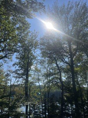 photo of Barbara Jean L.