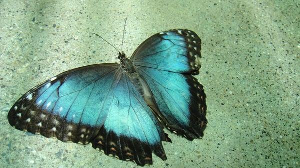 photo of Marienna M.