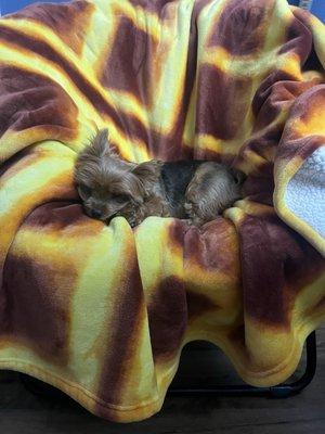 photo of Nicholas A.