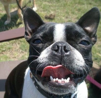 photo of stephanie c.