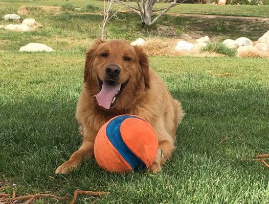 Photo of Bernie B.