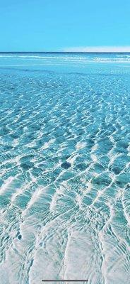 photo of Michelle P.