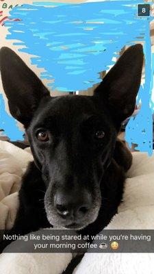 Photo of Ace R.