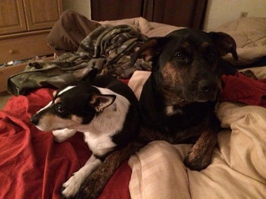 photo of Stephanie S.