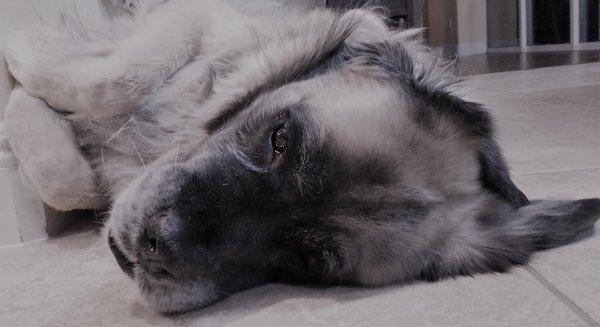 photo of Jennifer C.