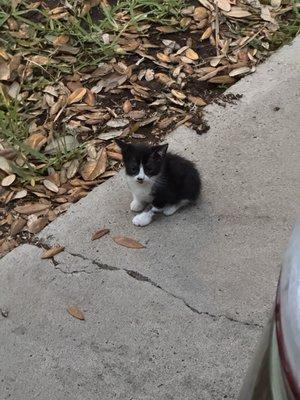 photo of Jacqueline S.