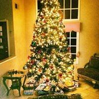 photo of Perciella B.