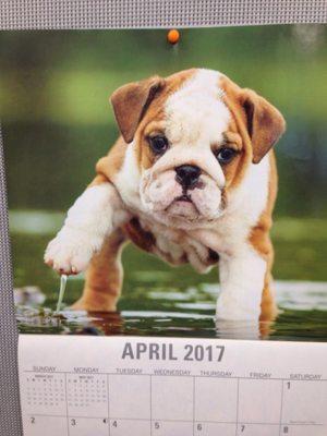 photo of Jennifer K.