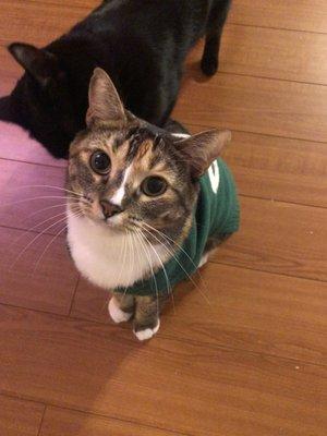 Photo of Eevee L.
