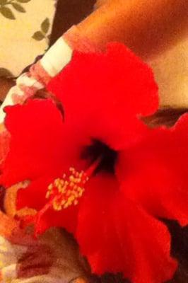 Photo of Melany S.
