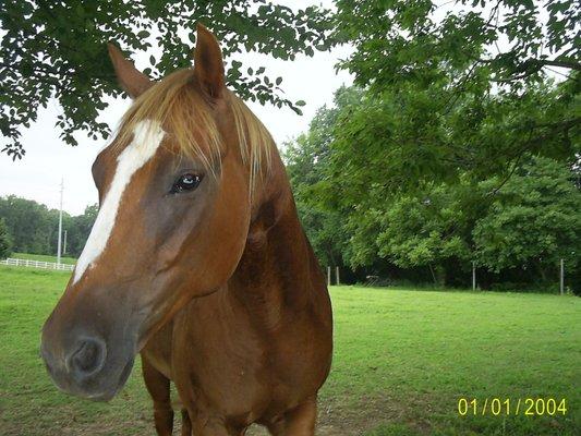 photo of Honest Reviewer B.