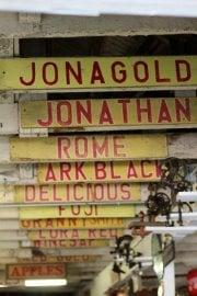 photo of Jonathan K.