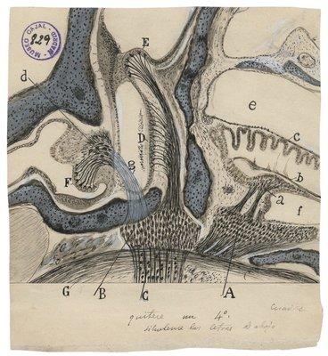 photo of National R.