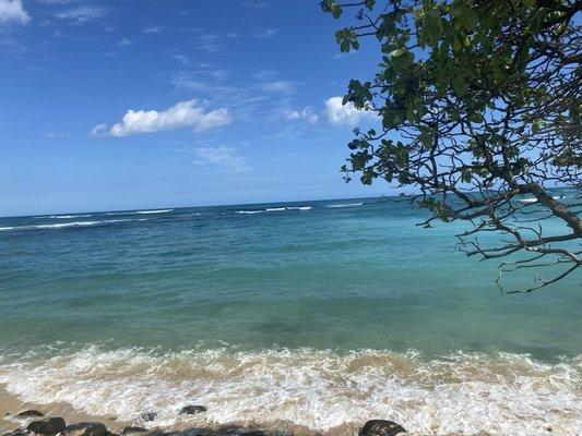 photo of Margaret S.