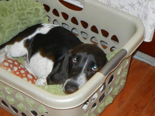 photo of Christine D.