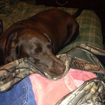 photo of Virginia J.