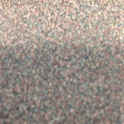 photo of Adrienne M.