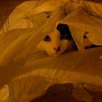 Photo of Patricia N.