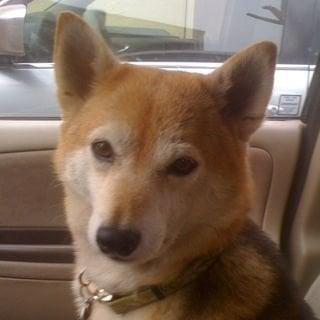 photo of Melesssa A.