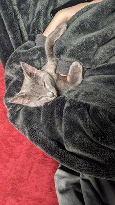 photo of Michelle A.