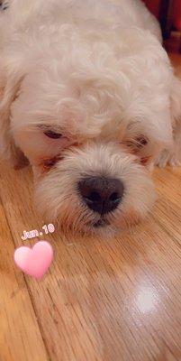 photo of Tavontrius B.