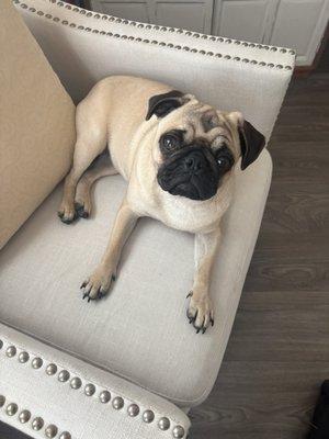 photo of Brooklynn N.