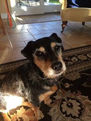 photo of Kathleen N.