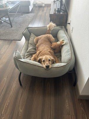 photo of Michelle S.