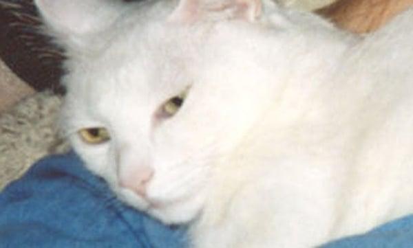 Photo of Gary M.