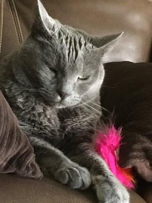 photo of Christina V.