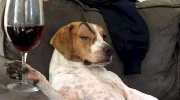 photo of Jennifer F.