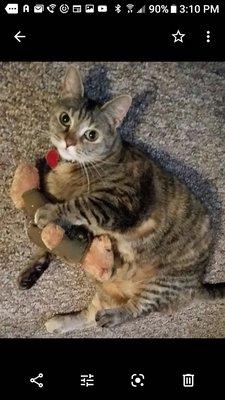 Photo of Sheeba E.