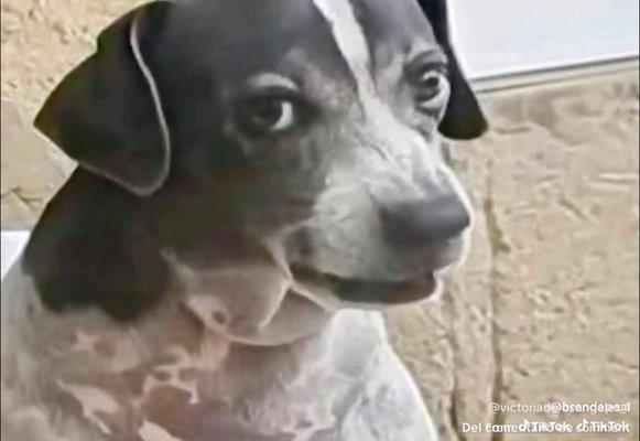 photo of злой д.