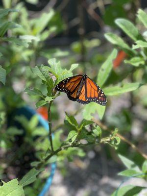 photo of Elizabeth M.