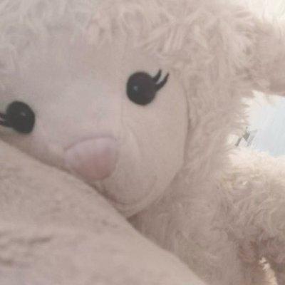 photo of Stracciatella