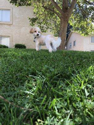 photo of Alejandra J.