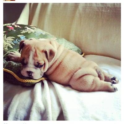 photo of Samantha B.