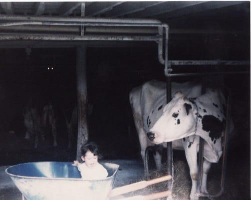 Photo of Kate D.