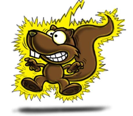 Photo of Squirrel B.