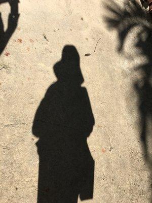 photo of Jeanette C.