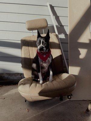 Photo of Caroline R.