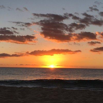 Photo of Kanani S.