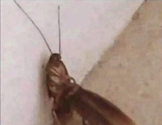 photo of Julian M I.