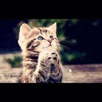 photo of Speechie R.