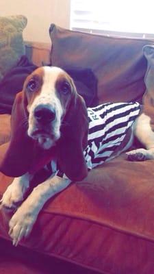 photo of Jefferson F.