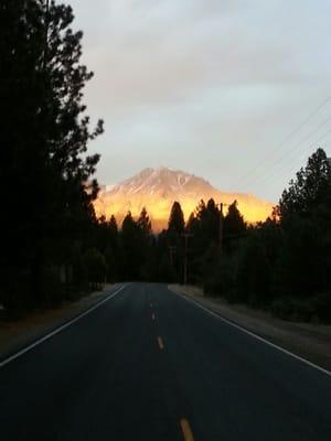 Photo of Jodie G.