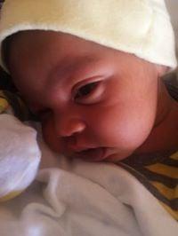Photo of Punkin F.